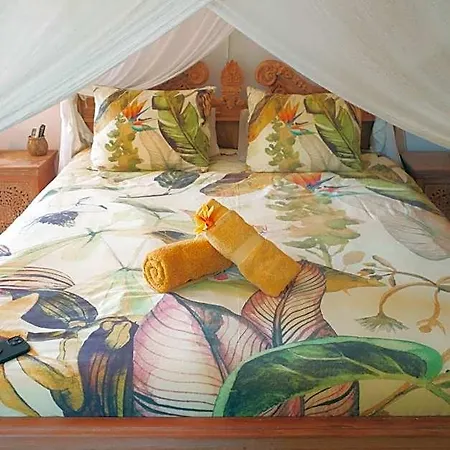 Little Bali 3*